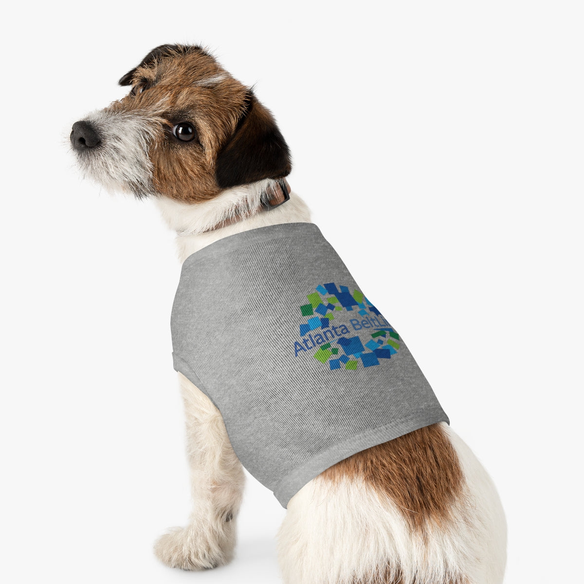 BeltLine Pet Tank Top